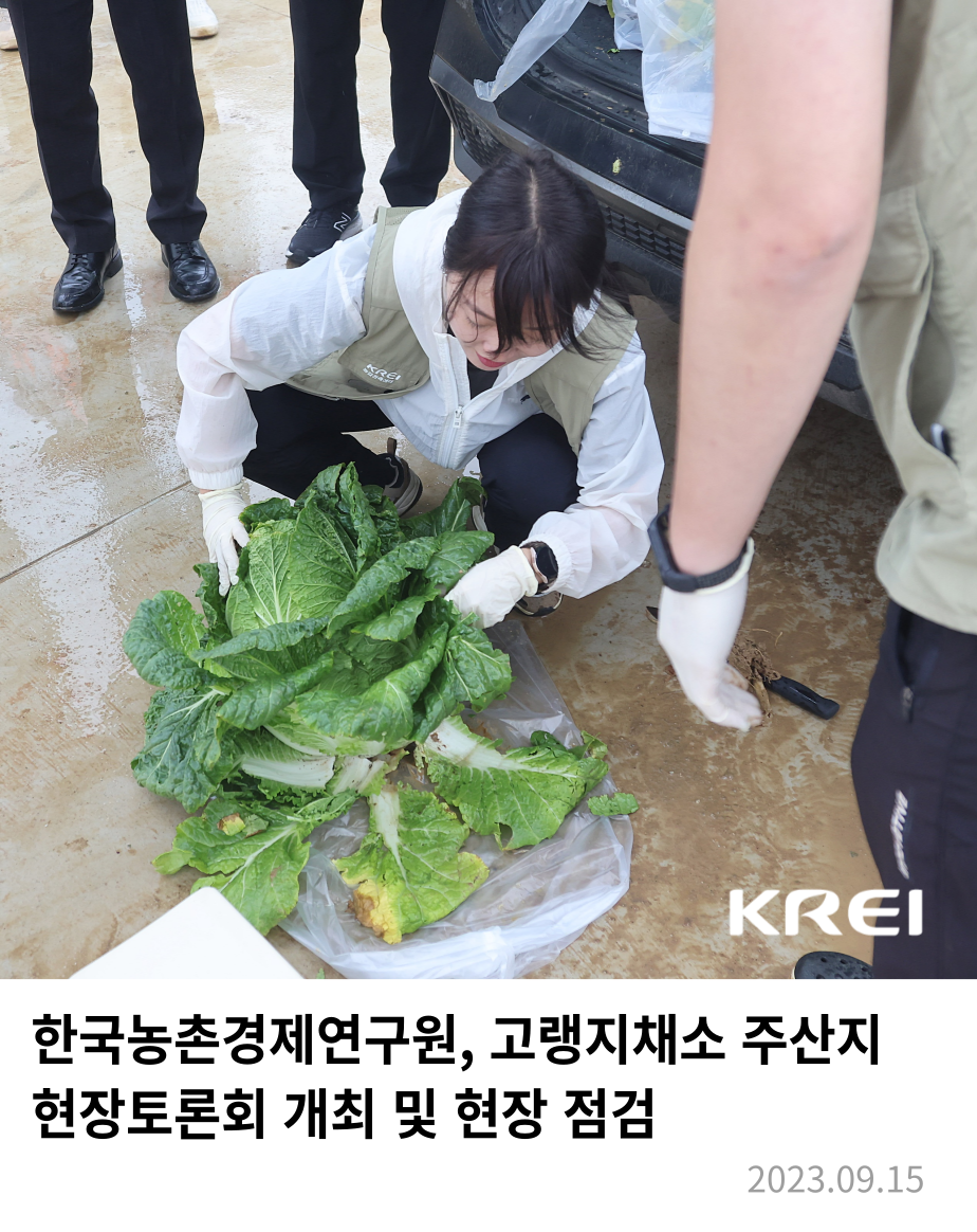 [동정]한국농촌경제연구원, 고랭지채소 주산지 현장토론회 개최 및 현장 방문