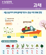 관측정보
