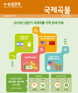 관측정보