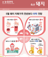 관측정보