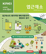 관측정보