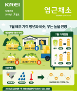 관측정보