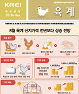 관측정보