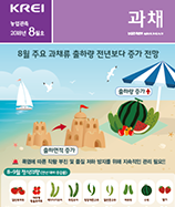 관측정보
