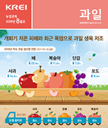 관측정보