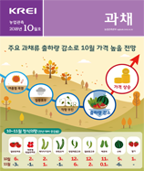 관측정보
