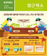 관측정보