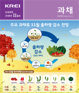 관측정보