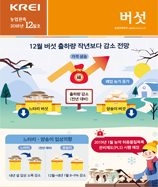 관측정보