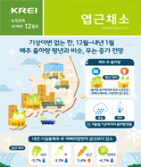 관측정보