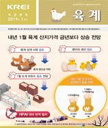 관측정보
