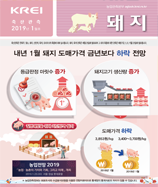 관측정보