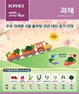 관측정보