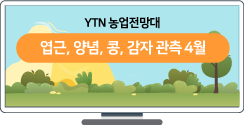 엽근, 양념, 콩, 감자 관측 4월