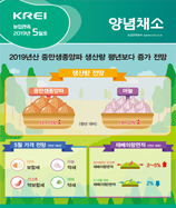 관측정보