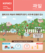 관측정보
