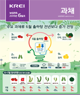 관측정보