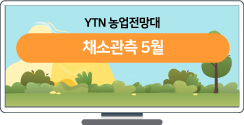 채소관측 5월