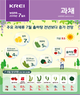 관측정보