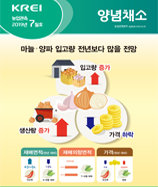 관측정보
