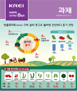 관측정보