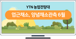 채소관측 5월