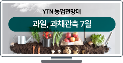 과일, 과채관측 7월 