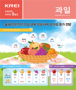 관측정보