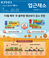 관측정보