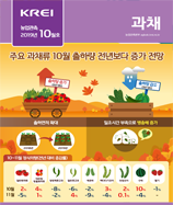 관측정보