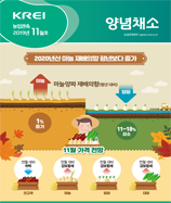 관측정보