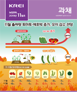 관측정보