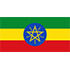 Africa partners ethiopia mark