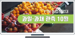 감자 관측 8월