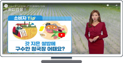 곡물 관측 11월