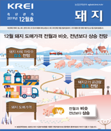 관측정보