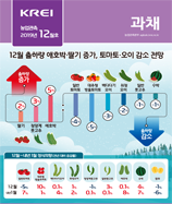 관측정보