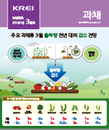 관측정보