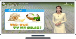 곡물 관측 12월