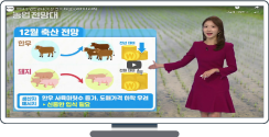 축산 관측 12월