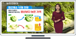 엽근채소·양념채소 관측 12월