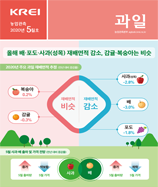관측정보