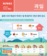 관측정보