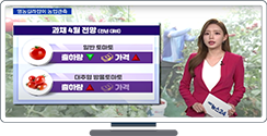 [영농길라잡이 농업관측] 과채 4월 관측