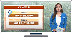 [영농길라잡이 농업관측] 엽근채소, 양념채소 6월 관측