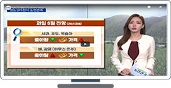 [영농길라잡이 농업관측] 과일, 과채 6월 관측