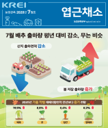 관측정보