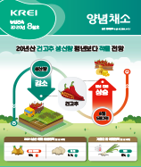 관측정보