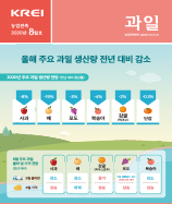 관측정보