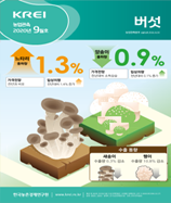 관측정보